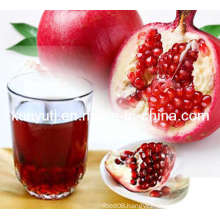 Pomegranate Juice Concentrates with High Quality